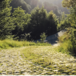 Follow Jesus with clarity