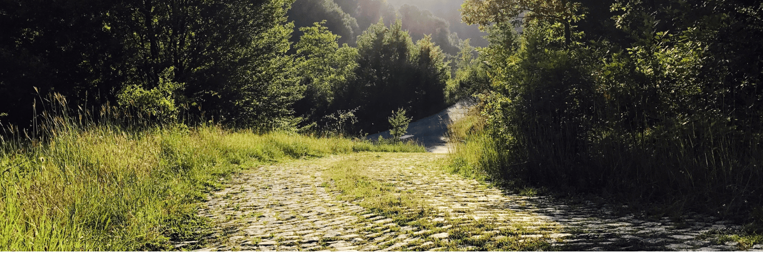 Follow Jesus with clarity