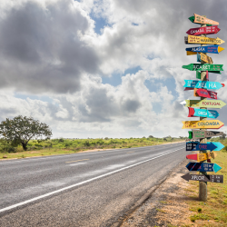 Stacked wooden signposts pointing in multiple directions — symbolizing clear options, direction, and the best vision clarity process for churches.